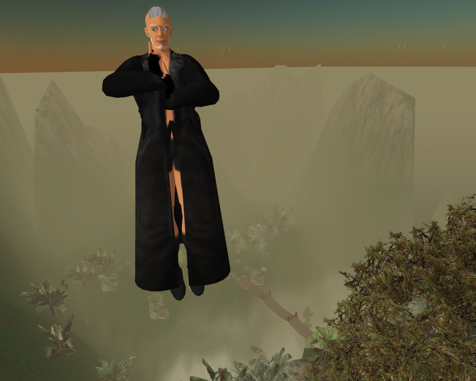 Snapshot 010