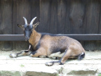 DSCF7939