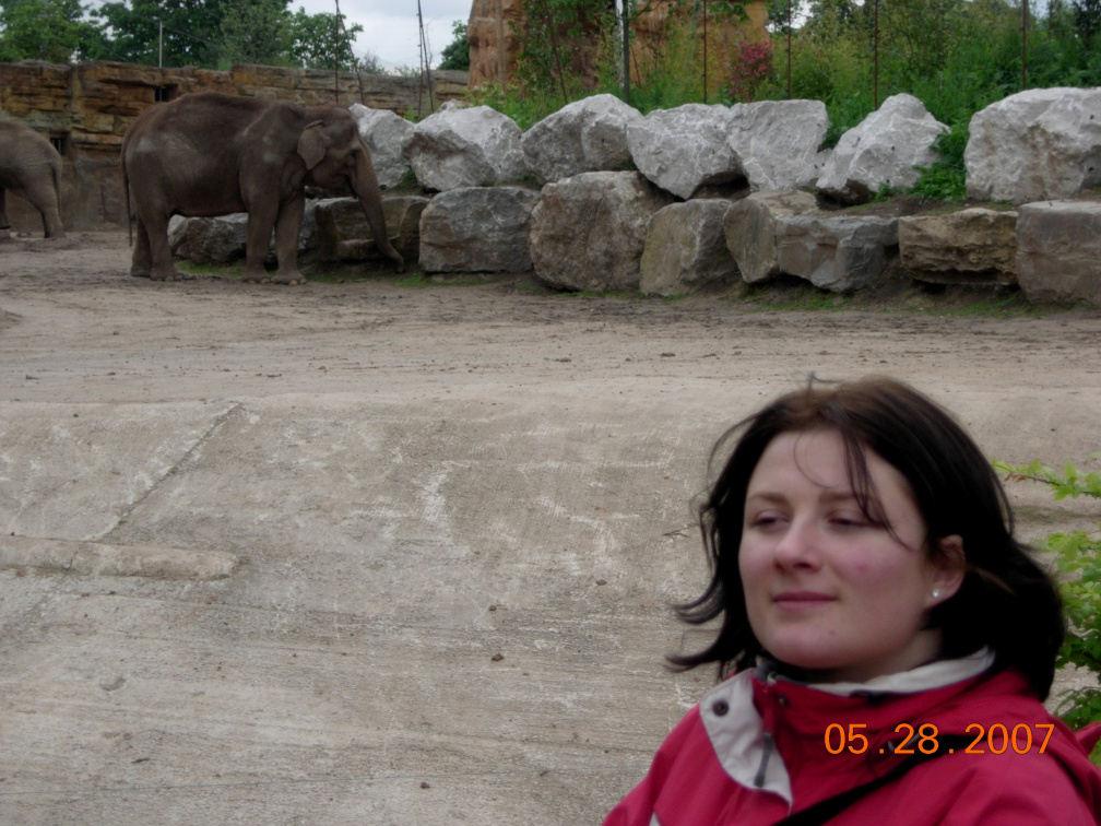Ania i slonik