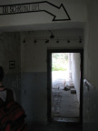 IMG 3390