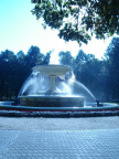 aae