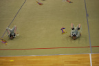 DSC 0030
