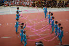 DSC 0060