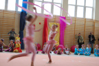 DSC 0238