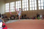 DSC 0254