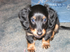 toffi-2005-02-28