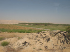 adg