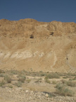 adh