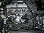 abf