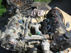 aav