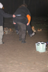 IMG 6286
