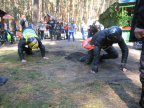 IMG 4651